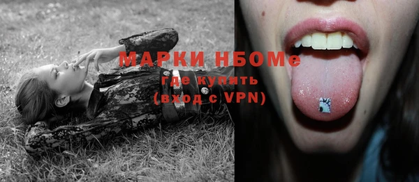 твердый Алексин
